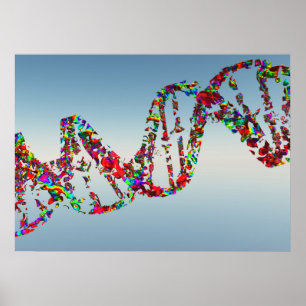 Póster Cadena DNA