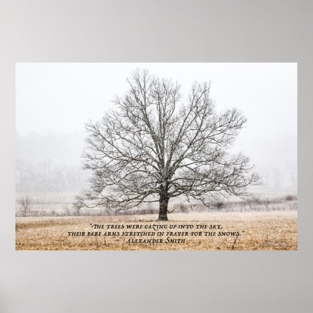 Póster Cades Cove en la nieve (Frente)