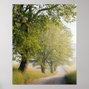 Póster Cades Cove Grandes Montañas Humeantes, TN