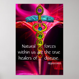 PÓSTER CADUCEO DE ORO,7 CHAKRAS,OLAS FRACTALES ROSAS ROSA