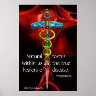 Póster CADUCEUS DE ORO, 7 CHAKRAS, curación, medicina, yo