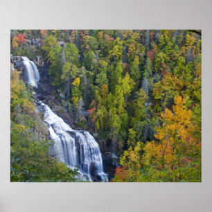 Póster Cae agua blanca en el National de Nantahala
