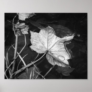 Póster Cae deja archivos flotantes en blanco y negro