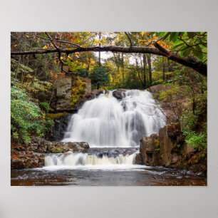 Póster Cae Hawk en otoño 14x11"
