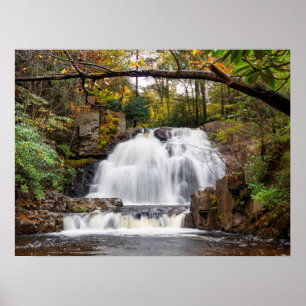 Póster Cae Hawk en otoño 24"x18"