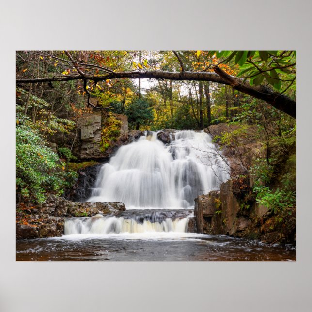 Póster Cae Hawk en otoño 24"x18" (Frente)