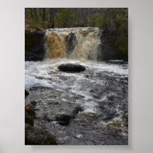 Cae la cerveza raíz