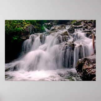 Póster Cae la disminución de la deserción