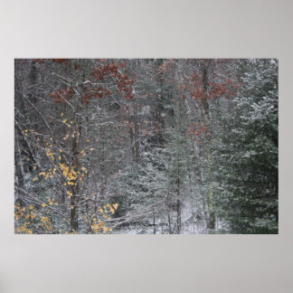Póster Caer antes del invierno