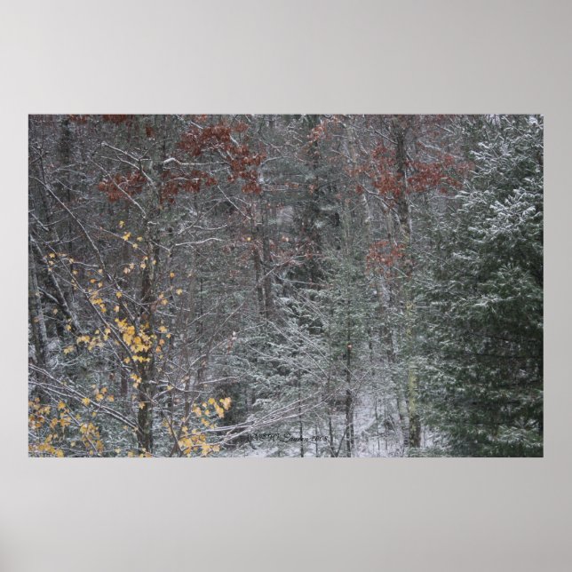 Póster Caer antes del invierno (Frente)