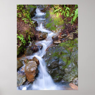 Póster Caer en el paso