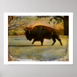 Póster Caer en la Tierra