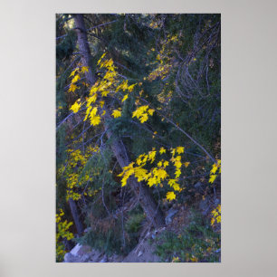 Póster Caer en las montañas 4