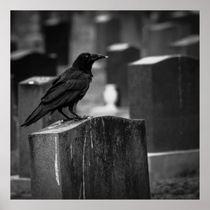 Póster Caer No puede llover todo el tiempo