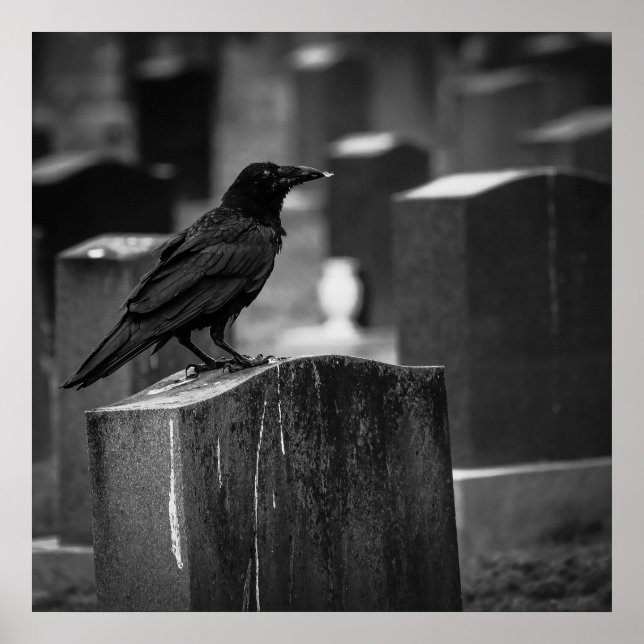 Póster Caer No puede llover todo el tiempo (Frente)