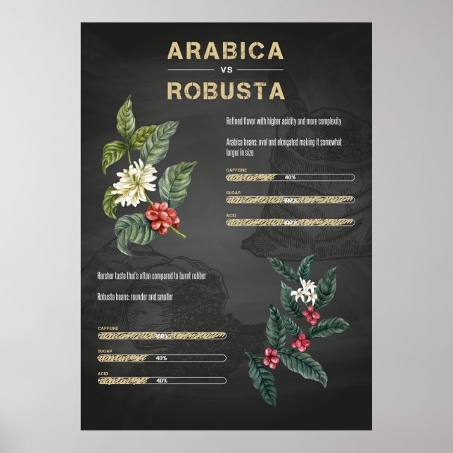 Póster Café Amante Café Arábica Robusta (Frente)