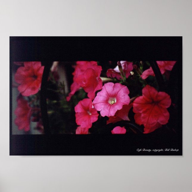 Póster Cafe Beauty (Frente)