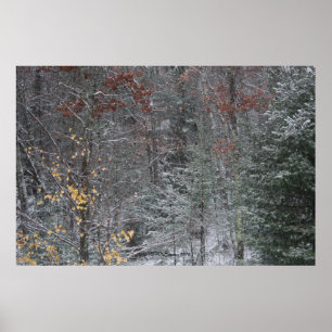 Póster Caída antes del invierno