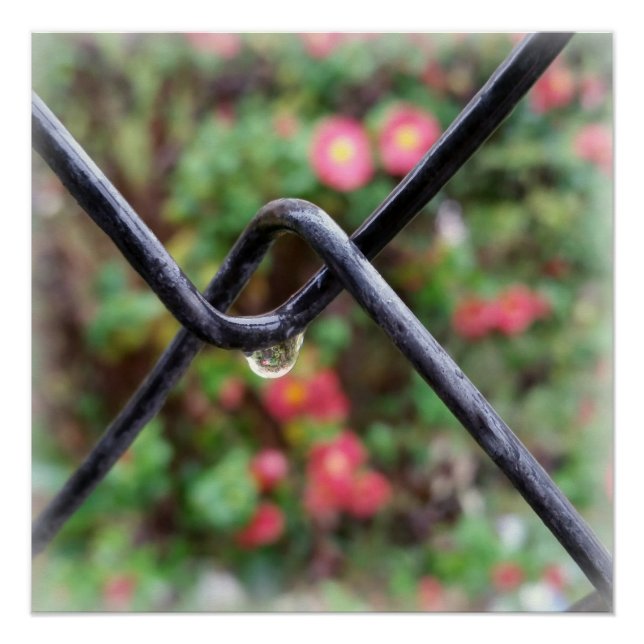 Póster Caída de lluvia (Anverso)