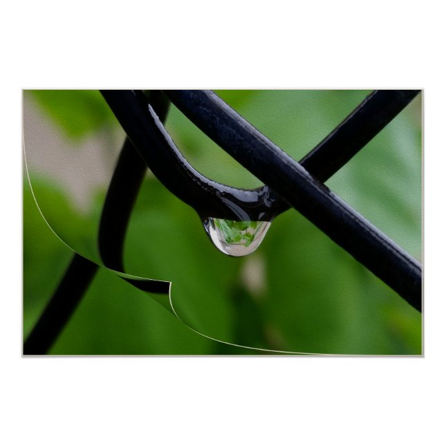 Póster Caída de lluvia (Anverso)