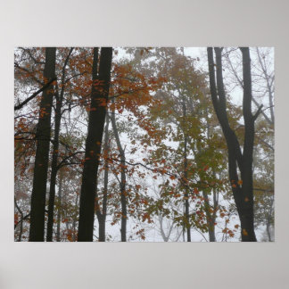 Póster Caída de niebla en la naturaleza otoñal de Pensilv
