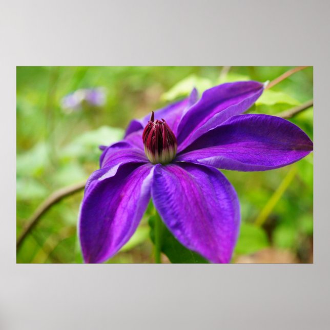 Póster ¡Caída de primavera! (Frente)