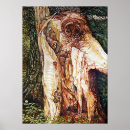 PÓSTER CAÍDA DE VIENTO