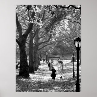 Póster Caída en Central Park 06 25