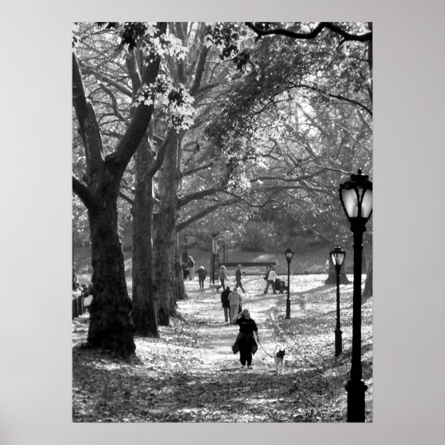 Póster Caída en Central Park 06 25 (Frente)