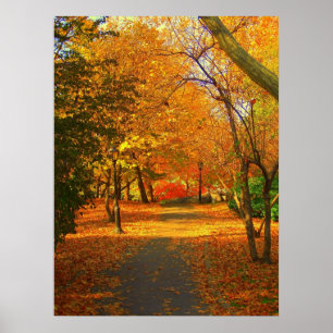 Póster Caída en Central Park 06 27