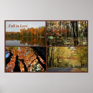 Póster Caída En El Amor Wisconsin