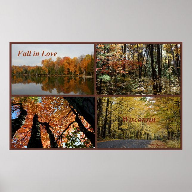 Póster Caída En El Amor Wisconsin (Frente)