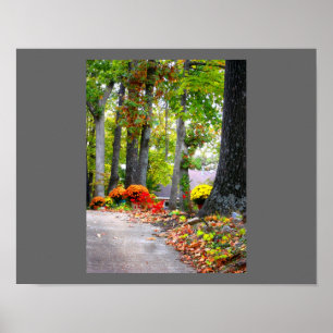 Póster Caída en Misuri