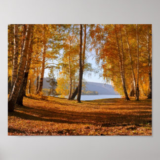 Póster Caída en otoño