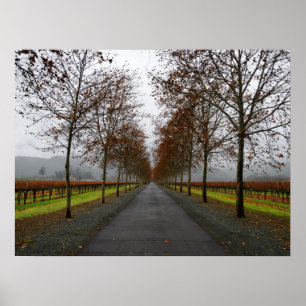 Póster Caída en Santa Helena