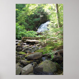 Póster Caídas de Adler