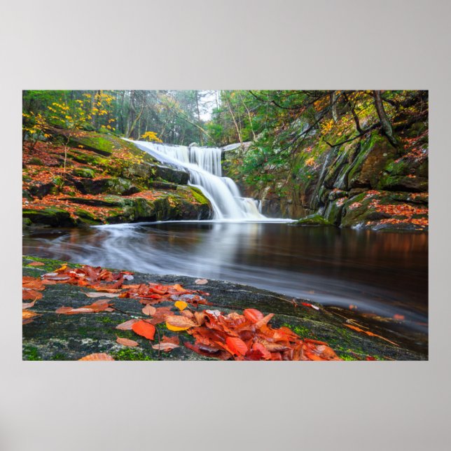 Póster Caídas de Ender en otoño (Frente)