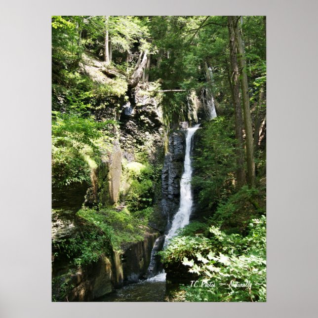 Póster Caídas de hilos de discusión plateado (Frente)