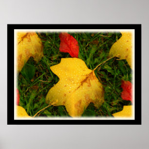 Póster Caídas de lluvia Poster de hojas otoñales