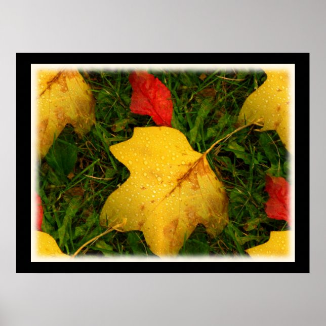 Póster Caídas de lluvia Poster de hojas otoñales (Frente)