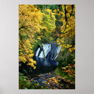 Póster Caídas de otoño