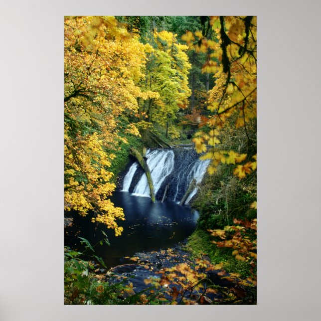 Póster Caídas de otoño (Frente)