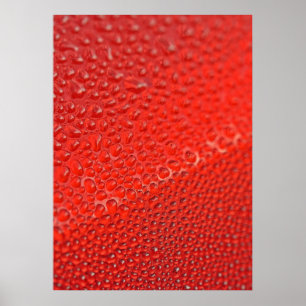 Póster Caídas del rocío matutino