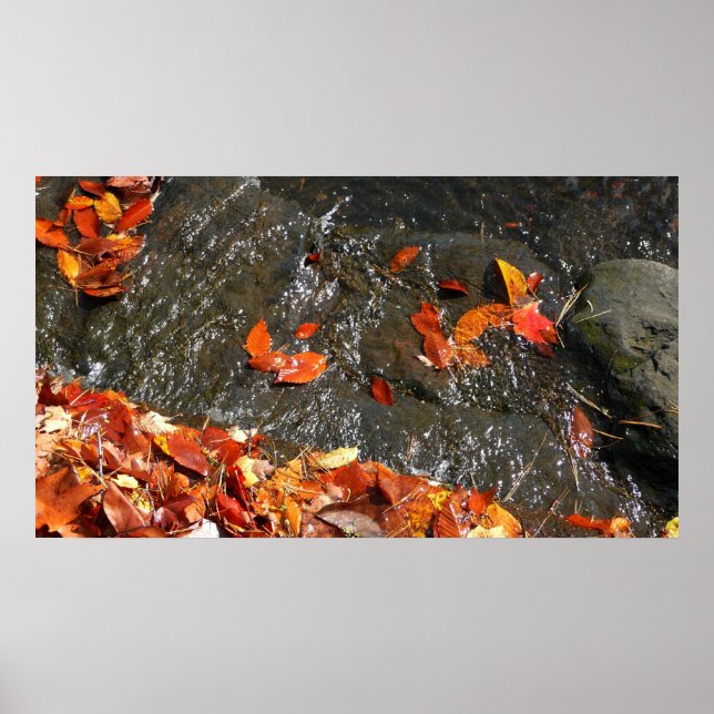 Póster Caídas en cataratas en fotografía de otoño (Frente)