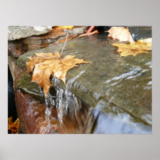 Póster Caídas en la fotografía de otoño en cascada II