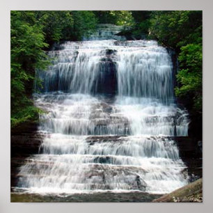 Póster Caídas resbaladizas de la bruja