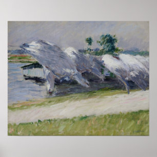 Póster Caillebotte - Lino secante