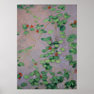 Póster Caillebotte - Nasturtiums