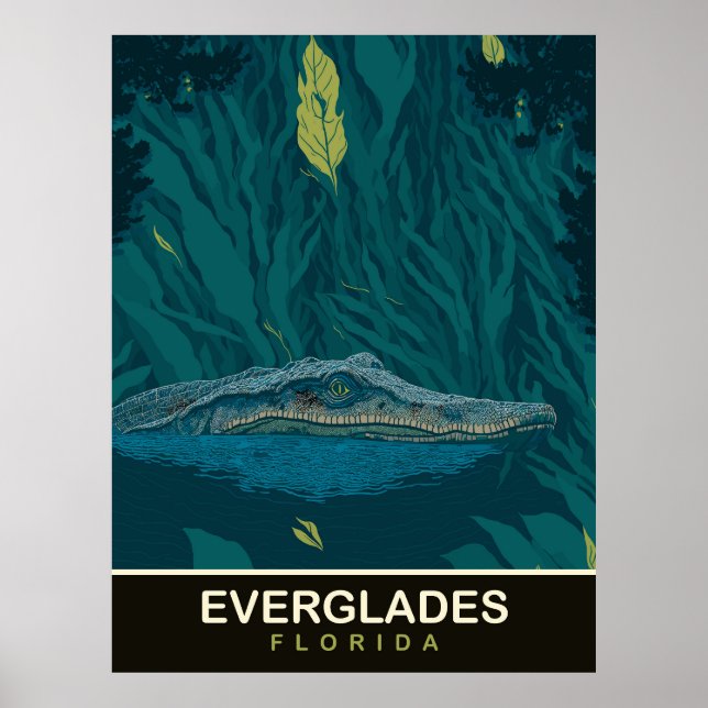 Póster Caimán en Everglades, Florida, Viajes (Frente)