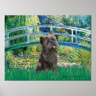 Póster Cairn (Brindle 21) - Puente del estanque de lirios